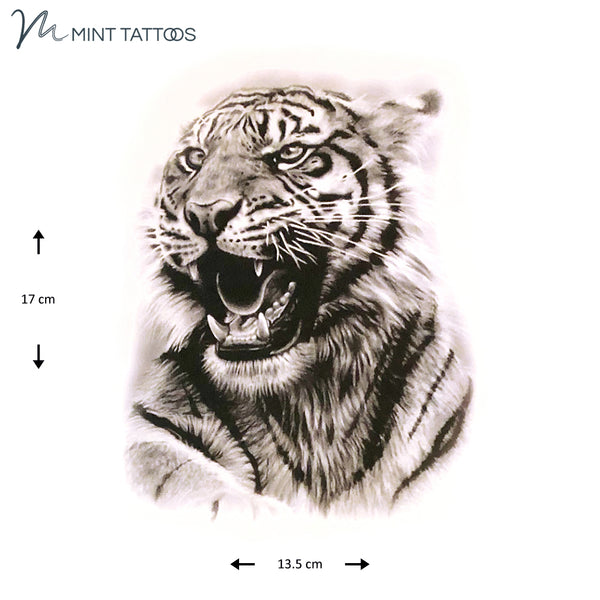 Temporary tattoo from Mint Tattoos. A growling tiger, mouth open and ears back. Measures 13 x 17 cm